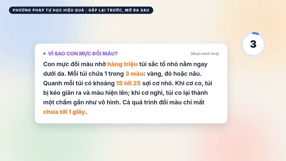 Bài thử đọc 30 giây